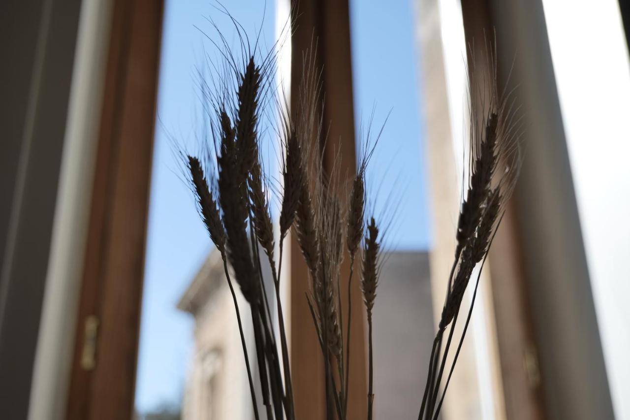 Bed and Breakfast Dimora San Giuseppe Lecce Zewnętrze zdjęcie